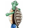 T-Turtle.jpg (4723 bytes)