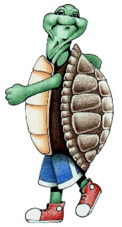 Turtle.jpg (32620 bytes)